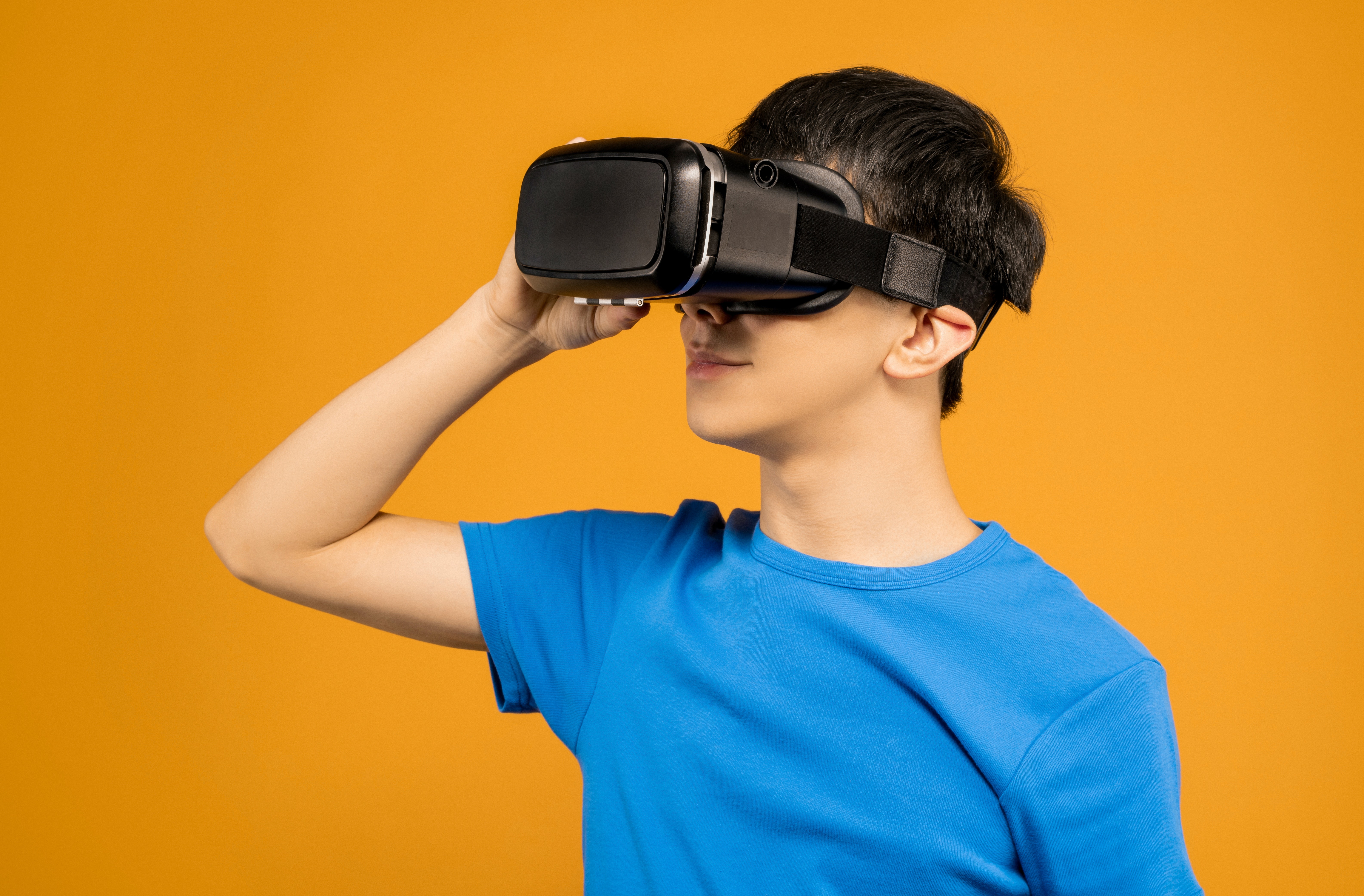 Virtual Mobile Software